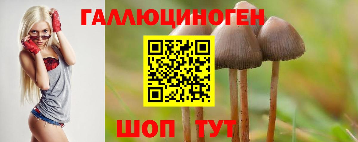 наркота  Псилоцибиновые грибы MAGIC MUSHROOMS  Вход с VPN  Ленинск-Кузнецкий 